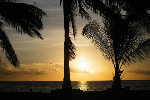 Discovering Oxford's Literary Gems: The Ultimate Guide to Exploring the City's Rich Literary Legacy