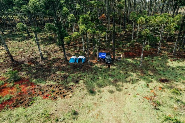 Discovering Manchester: Essential Landmarks to Explore the City's Industrial Revolution Heritage
